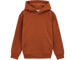 WE Fashion Jongens hoodie
