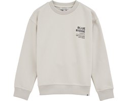 WE Fashion Jongens sweater met print