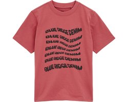 WE Fashion Jongens T-shirt met print