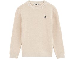 WE Fashion Jongens trui met structuur