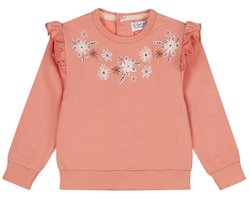 Dirkje Meisjes Trui - Pink
