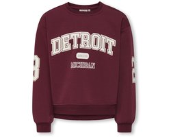ONLY KOGVICTORY LIFE L/S O-NECK SWT Meisjes Trui - Cabernet Detroit/Cloud Dancer