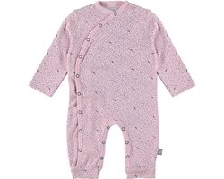 4President boxpakje Naomi Moon