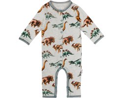 Baby Pakje Dino Claesen's 80/86