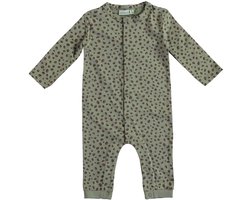 Babylook Dots Boxpak - Mt. 56 - Shadow