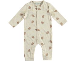 Babylook Highlands Boxpak - Maat 50