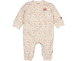 B.E.S.S. - Boxpak Leopard - Dessin