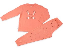 Frogs and Dogs - Bunny F&D Pyjama | Rust Pink meisjes jongens - Katoen - Maat 122/128