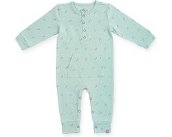 Jollein Boxpakje 50/56 Forest green