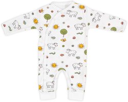 Mike en Molly - Boxpak - 62/68