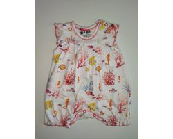 Nini - Boxpakje Lotte - Maat 56 - 0 t/m 2 maanden