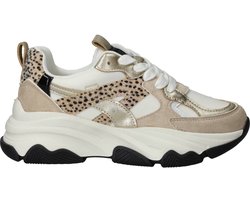 POSH by Poelman Sneakers - Meisjes - Beige - Maat:34
