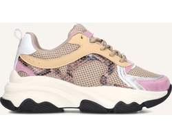 Wysh Hannah Sneakers - Meisjes - Multi - Maat 31
