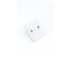 Golden Daisy Oorbellen – 9 Karaat Geelgoud Oorknopjes, incl. Geschenkverpakking