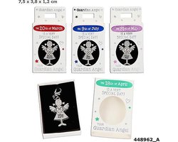 Hanger Beschermengeltje 27 Januari