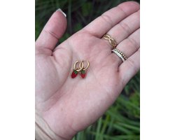 Kinderoorbellen - Stainless steel - Meisjes oorbellen - Oorbellen - Hypoallergeen - Sieraden - Aardbei oorbellen - Goud - Cadeautje meisje - Ringetjes oorbellen - Oorbelletjes Aardbei