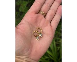 Kinderoorbellen - Stainless steel - Meisjes oorbellen - Oorbellen - Hypoallergeen - Sieraden - Bloemetjes oorbellen - Goud - Cadeautje meisje - Ringetjes oorbellen