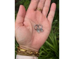 Kinderoorbellen - Stainless steel - Meisjes oorbellen - Oorbellen - Hypoallergeen - Sieraden - Bloemetjes oorbellen - Zilver - Cadeautje meisje - Ringetjes oorbellen