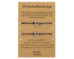 Vriendschapsarmbandjes voor 2 met Geluks Hoefijzer- / Zilver -Elastisch verstelbaar - Vriendschap Cadeau - Pax Amare