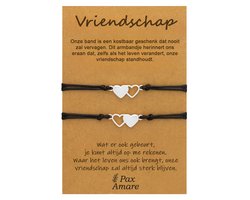 Vriendschapsarmbandjes voor 2 "Vriendschap" - Hartjes - BFF Armbandjes met Cadeau Kaartje - Zilverkleurig - Elastisch Verstelbaar - Pax Amare