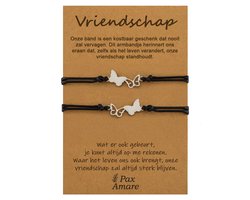 Vriendschapsarmbandjes voor 2 "Vriendschap" - Vlinders - BFF Armbandjes met Cadeau Kaartje - Zilverkleurig - Elastisch Verstelbaar - Pax Amare