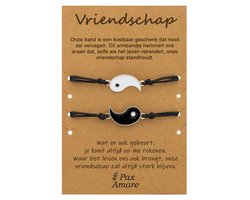 Vriendschapsarmbandjes voor 2 "Vriendschap" - Yin Yang - BFF Armbandjes met Cadeau Kaartje - Zilverkleurig - Elastisch Verstelbaar - Pax Amare