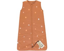 Briljant Baby Winterslaapzak Baby - Sunny - Terra - Maat 70