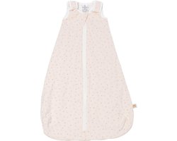 Ergobaby Babyslaapzak Classic - TOG 1.0 - 0-6mnd - Star Bright