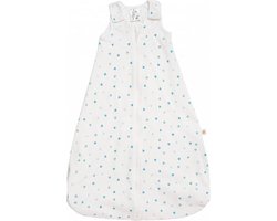 Ergobaby Slaapzak On The Move  Heart to Heart - 18-36 Mnd - Blauw gedessineerd