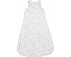 Ergobaby Slaapzak On The Move - Silver Moons - 18-36 Mnd