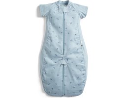 Ergopouch Sleepsuit Slaapzak - 1,0 Tog - Slaapzak baby - Slaapzakken - Slaapzak kind - 8-24 md - Dragonflies