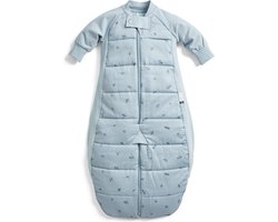 Ergopouch Sleepsuit Slaapzak - 2,5 Tog - Slaapzak baby - Slaapzakken - Slaapzak kind winter - 4-6 jaar - Dragonflies
