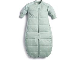 Ergopouch Sleepsuit Slaapzak - 2,5 Tog - Slaapzak Baby - Slaapzakken - Slaapzak kind winter - 8-24 md - Sage