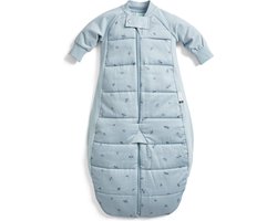 Ergopouch Sleepsuit Slaapzak - 3,5 Tog - Slaapzak Baby - Slaapzakken - Slaapzak kind winter - 3-12 md - Dragonflies