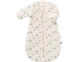 Fresk Slaapzak Baby Winter - 0-6M - 70 cm - Interlock met Lichte Voering - Biologisch Katoen - Zacht en Ademend - TOG 2.8 - Mintgroen - Surf Boy