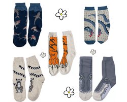 Nature Planet -kindersokken - set van 5 paar sokken - haai - ringstaartmaki - t-rex - tijger - draak (100% Oeko-tex gecertificeerd) maat 29-34