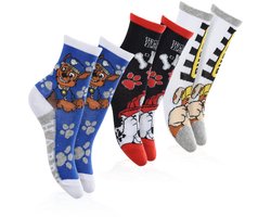 Paw Patrol- kindersokken - Expressions - 3 paar - maat 23/26