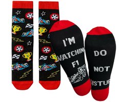 Winkrs - Grappige Race Sokken – “Do Not Disturb, I’m Watching F1” – Maat 32-36