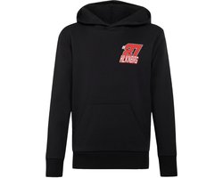 adidas Performance AUDI REVOLUT F1 TEAM NICO HULKENBERG GRAPHIC II HOODIE - Kinderen - Zwart