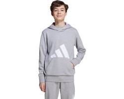 adidas Sportswear Essentials Hoodie Kids - Kinderen - Grijs