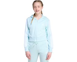 adidas Sportswear Essentials Ritshoodie Kids - Kinderen - Turquoise