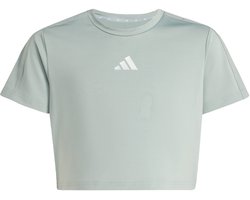 adidas Sportswear Train Essentials Seasonal Print T-shirt - Kinderen - Groen