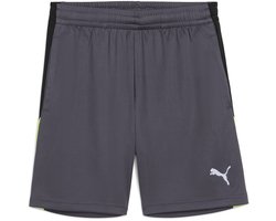 Puma Individual Liga Training Korte Broek Grijs 14-16 Years Jongens,Meisjes