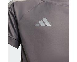 adidas Performance AUDI REVOLUT F1 TEAM REPLICA COUREURSSHIRT - Kinderen - Grijs