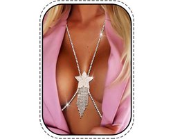 Glanzende Kristallen Borstketting Zilverkleurig met Ster