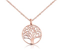 Levensboom Halsketting Zilver of Roségoud - Verstelbaar RVS Damesketting met Spreukkaart
