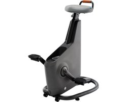 LifeSpan Workplace Ampera Stroomopwekkende Bureaufiets (grijs)