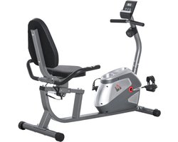 Ligfiets - Hometrainer - 8 Magnetische Weerstandsniveaus - LCD Scherm - Verstelbare Zitting en Weerstand - Hartslagsensoren - Max. Gebruikersgewicht 110 kg - Fietstrainer - Fitnessfiets - Grijs+Zilver