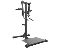 Taurus Standing Lateral Raise