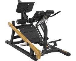 Toorx Professional Dual Hyper Extension FWX 10500